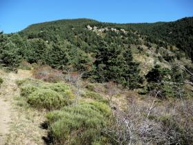 photo coins arrondis